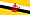 Flag of Brunei Darussalam